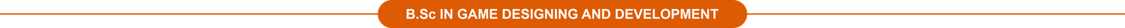 B.Sc Game Designing Course