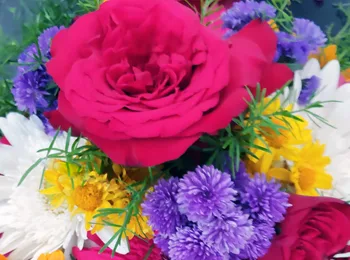 flower arrangement images of iifa 10