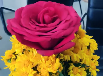 flower arrangement images of iifa 13