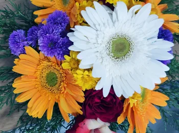 flower arrangement images of iifa 14