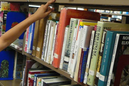library-images-5-of-iifa