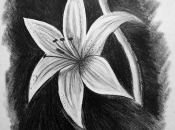 sketching-work-of-iifa-student-shiva-arjun-images-9