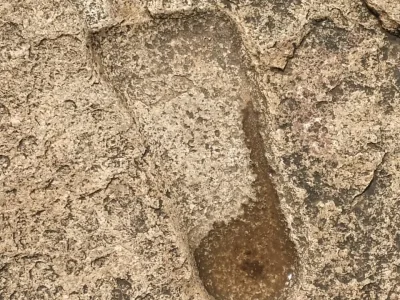 lepakshi-study-trip-images-of-iifa-26