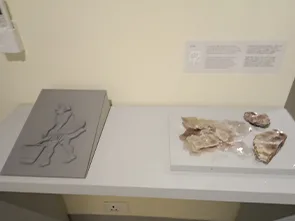 studytrip-for-museum-of-art-&-photography-(MAP)-8.jpg